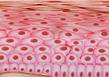 בעיות עור כל מה שחשוב לדעת  אורן זריף הפורטל הרשמי