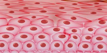 בעיות עור כל מה שחשוב לדעת  אורן זריף הפורטל הרשמי