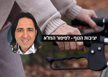 יציבות הגוף