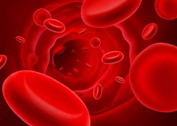 פורטל הבריאות הרשמי של אורן זריף כתבות, מאמרים , חדשות ואנשים מספרים.