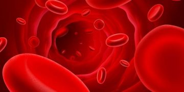 פורטל הבריאות הרשמי של אורן זריף כתבות, מאמרים , חדשות ואנשים מספרים.