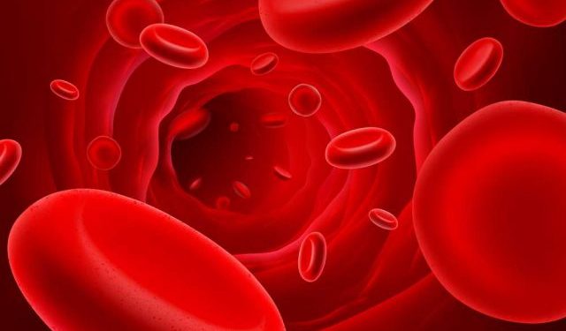 פורטל הבריאות הרשמי של אורן זריף כתבות, מאמרים , חדשות ואנשים מספרים.