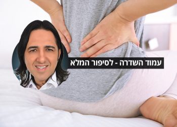 עמוד השדרה